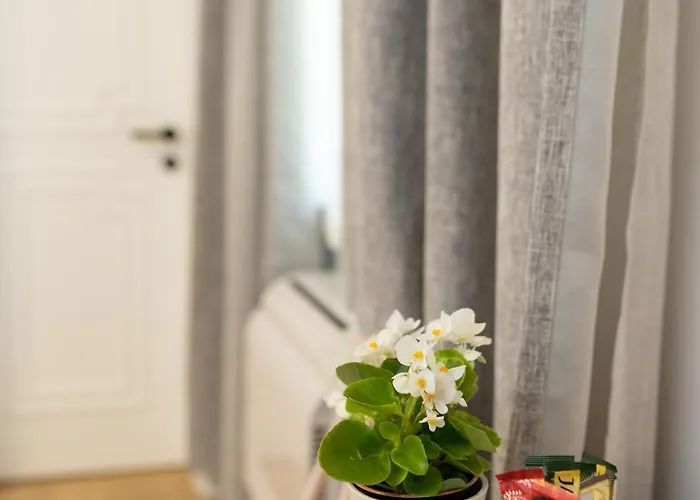 Luxury 12-2 3* プロヴディフ